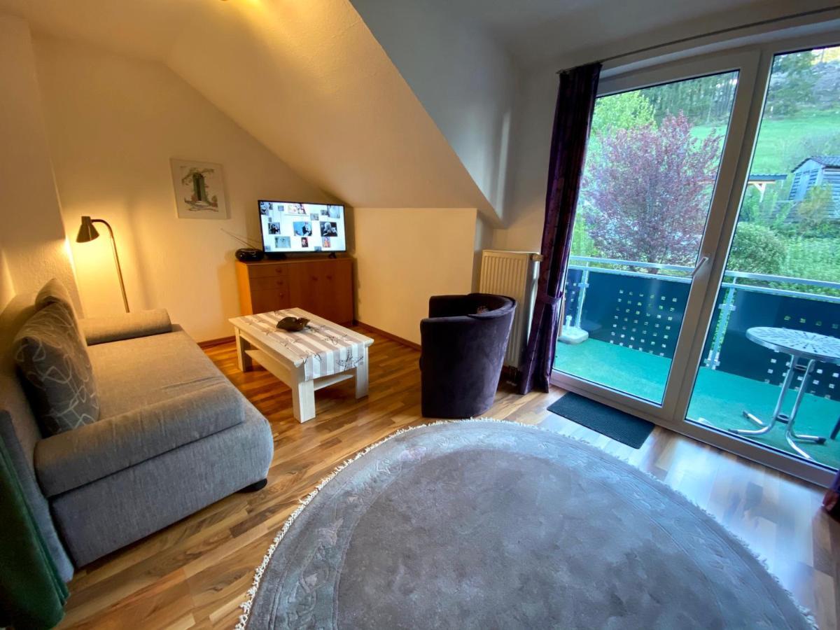 Top Fewo Mit Sommercard Winterberg Exterior foto